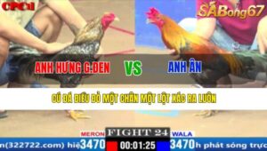 TRẬN 24 CPC1 17/3/2025 : ANH HƯNG G.ĐEN VS ANH ÂN