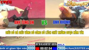 TRẬN 25 CPC1 17/3/2025 : ANH TÙNG ĐN VS ANH KHÁNH