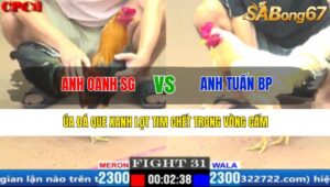 TRẬN 31 CPC1 17/3/2025 : ANH OANH SÀI GÒN VS ANH TUẤN BÌNH PHƯỚC