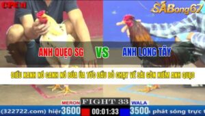 TRẬN 33 CPC1 17/3/2025 : ANH QUẸO SÀI GÒN VS ANH LONG TÂY