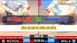 TRẬN 36 CPC3 17/3/2025 : ANH DANH BÀ ĐIỂM VS ANH XUÂN CAI LẬY