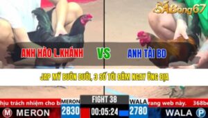 TRẬN 38 CPC3 17/3/2025 : ANH HÀO LONG KHÁNH VS ANH TÀI BD