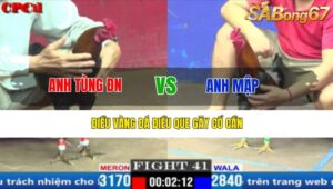 TRẬN 41 CPC1 17/3/2025 : ANH TÙNG ĐN VS ANH MẬP