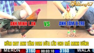 TRẬN 2 CPC1 4/3/2025