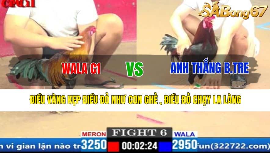 TRẬN 6 CPC1 18/3/2025