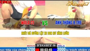 TRẬN 9 CPC1 18/3/2025